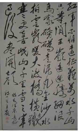 川南毛体书法第一人 川南毛体书法第一人