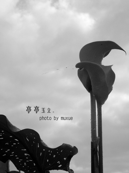 Щ͸
