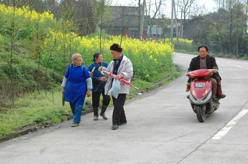 崇州街子的图说 崇州街子的图说