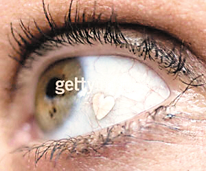 ΪĿɿڴ