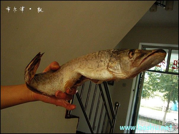 ½֮ռ