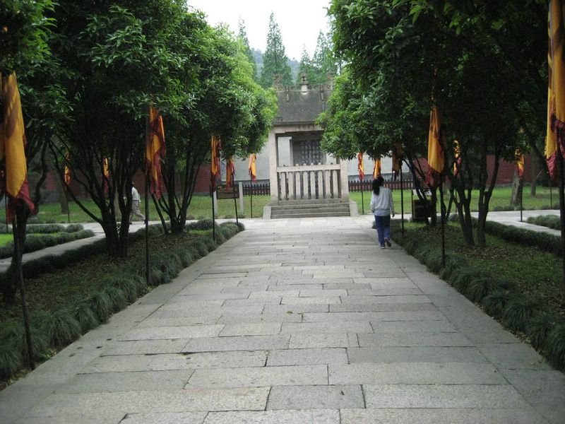 μ㽭2007깫