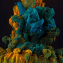 Alberto Sevesoλõɫ֮