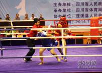 四川省第十二届运动会武术散打、套路比赛