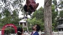 印度摄影师为找最佳角度爬树倒挂拍婚礼照
