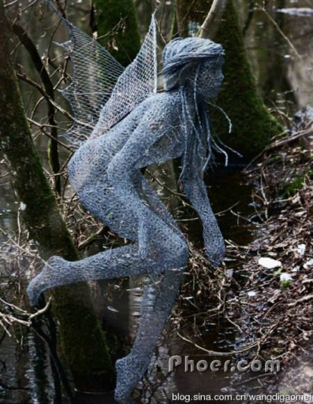 ˿֯ڵͶ