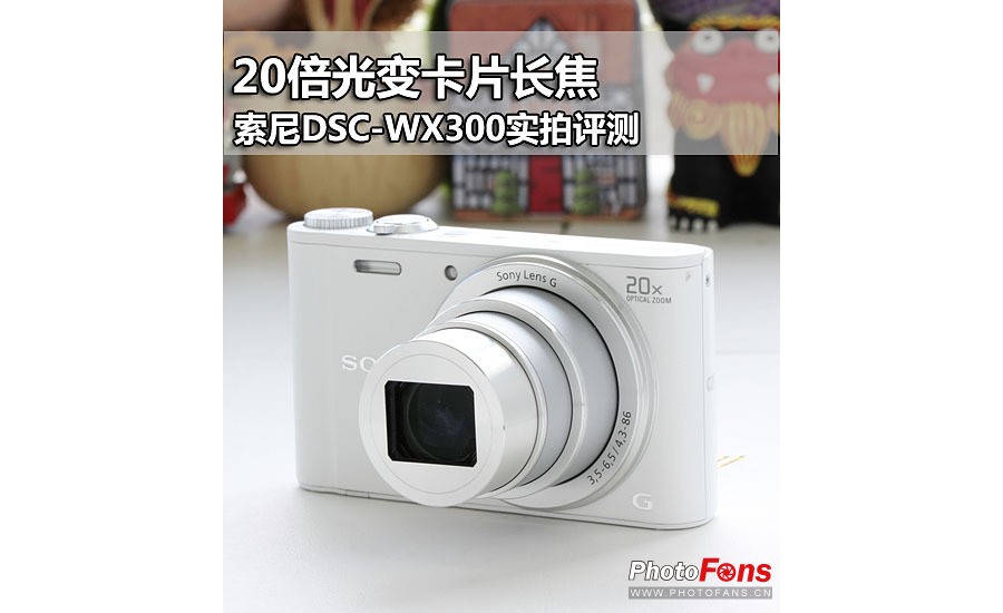 20俨Ƭ DSC-WX300